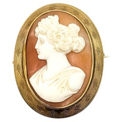 Antique Victorian Cameo Pendant/Brooch in 14k Yellow Gold
