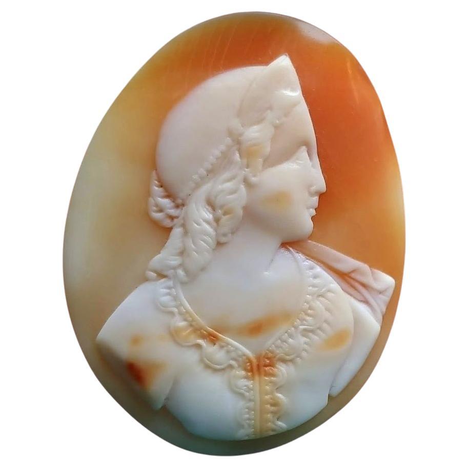 Antique Victorian Cameo Shell Princess For Sale