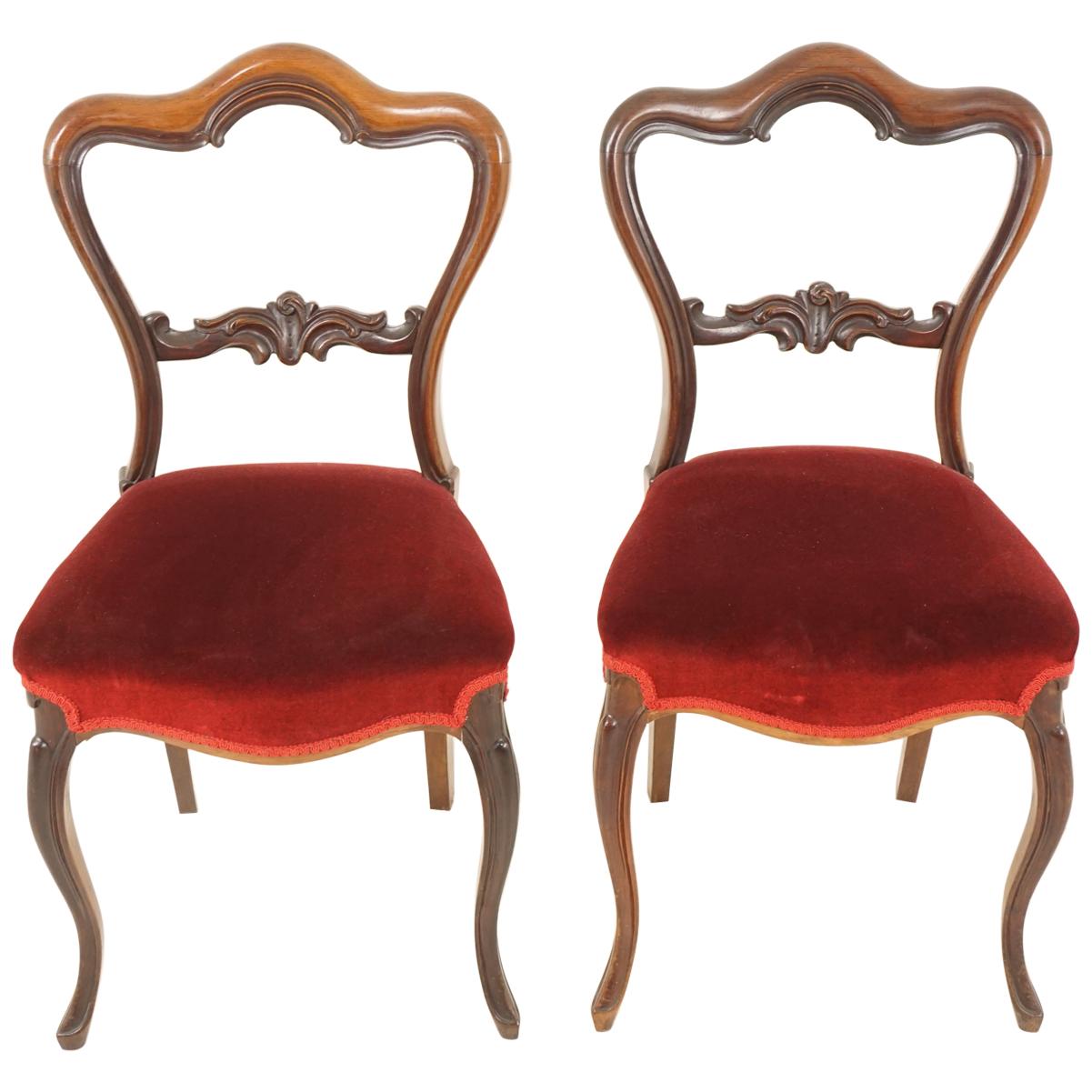 Antique Victorian Chairs, Carved Rosewood Occasional Chairs, Scotland 1870 B2055