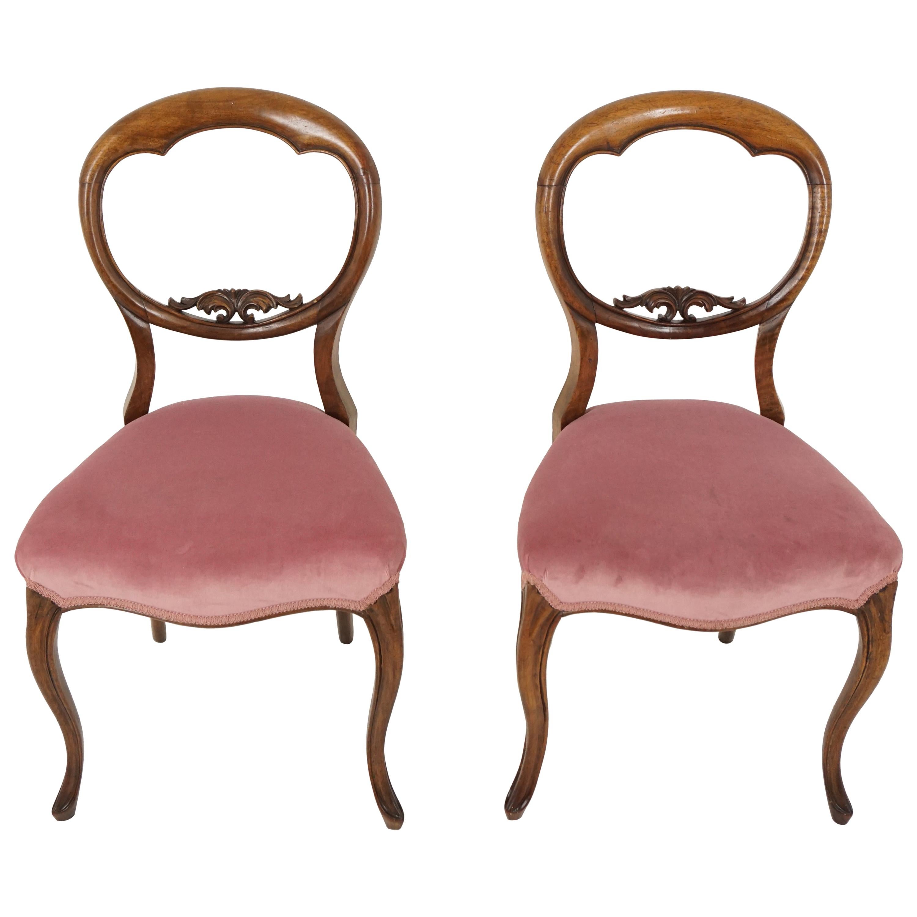 Antique Victorian Chairs, Walnut Balloon Back Chairs, Scotland 1880, B2017