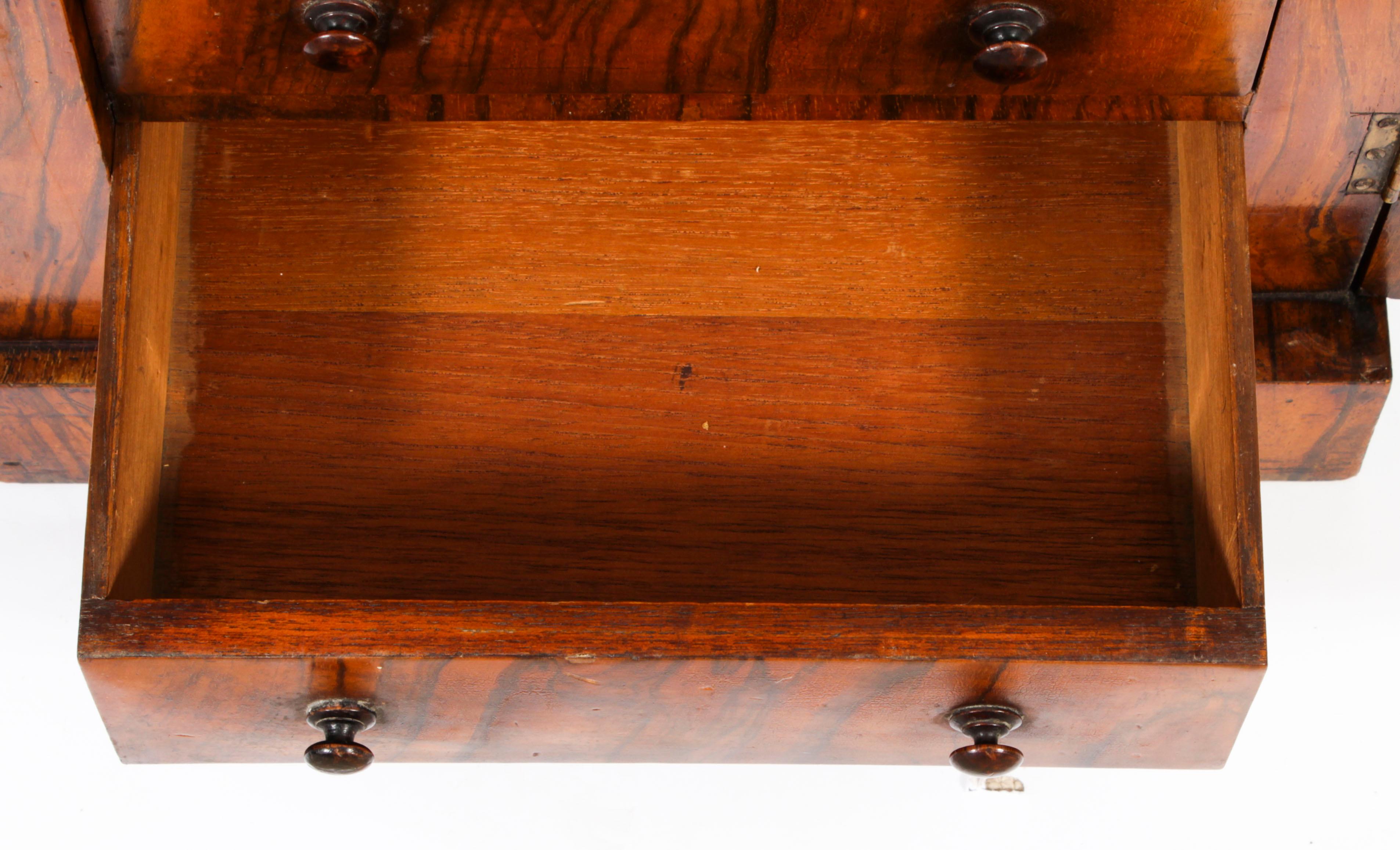 Antique Victorian Collectors Cabinet Wellington Chest 19th Century 4