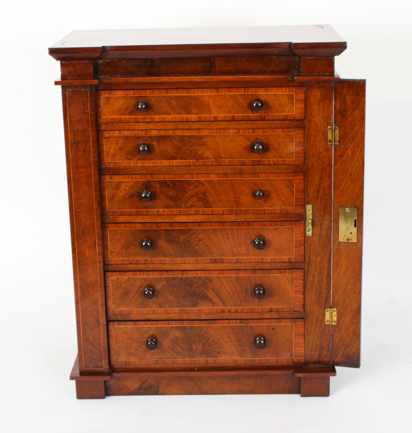 Antique Victorian Collectors Cabinet Wellington Chest 19th Century 4