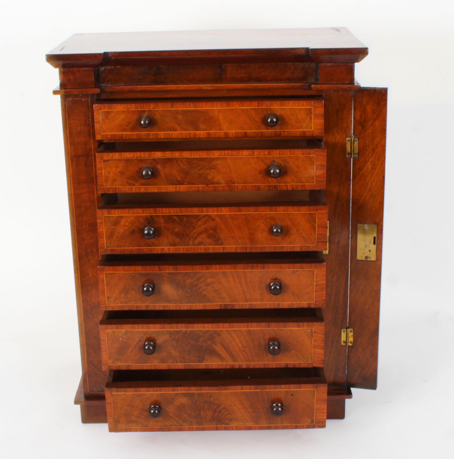Antique Victorian Collectors Cabinet Wellington Chest 19th Century 5
