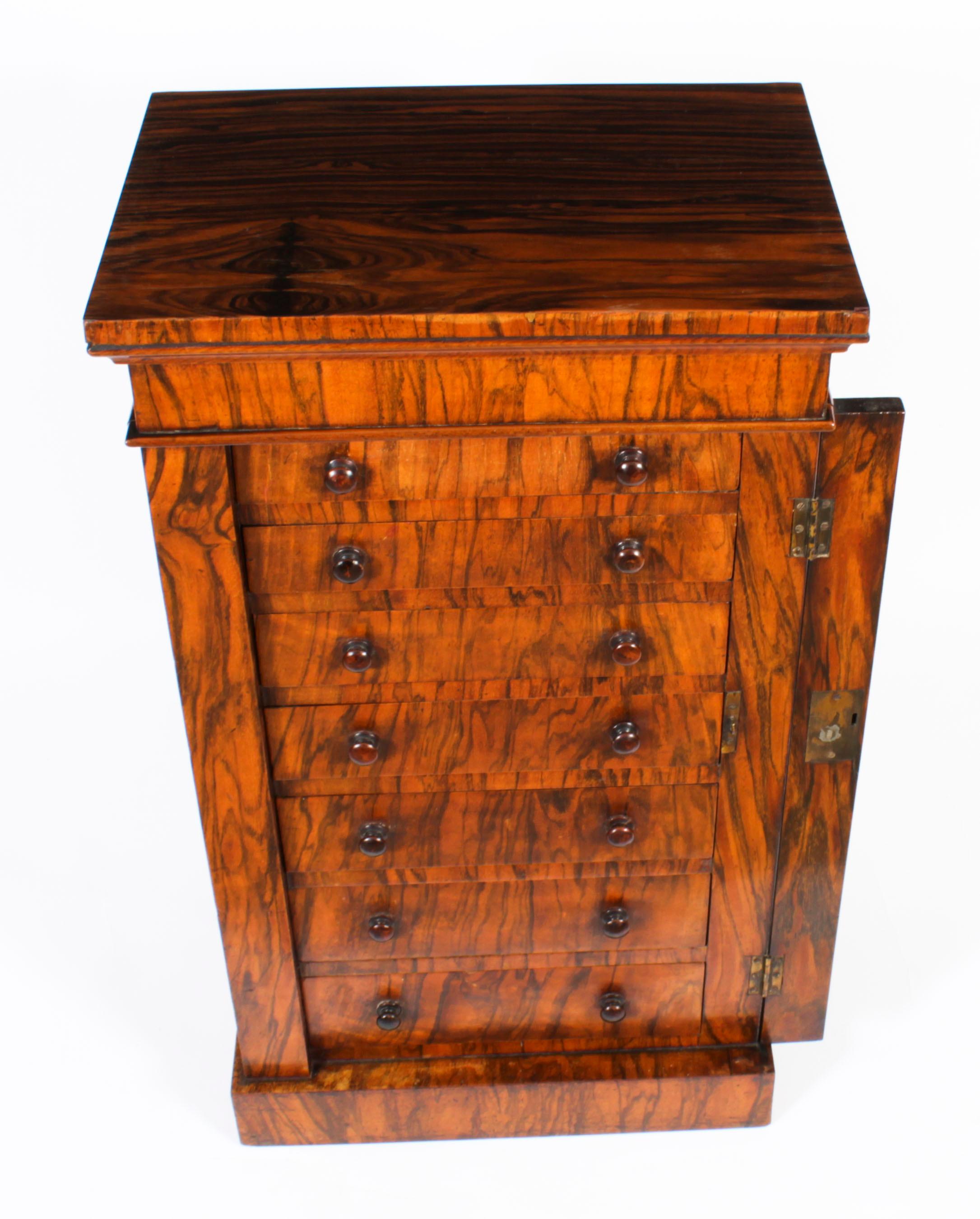 Antique Victorian Collectors Cabinet Wellington Chest 19th Century 6