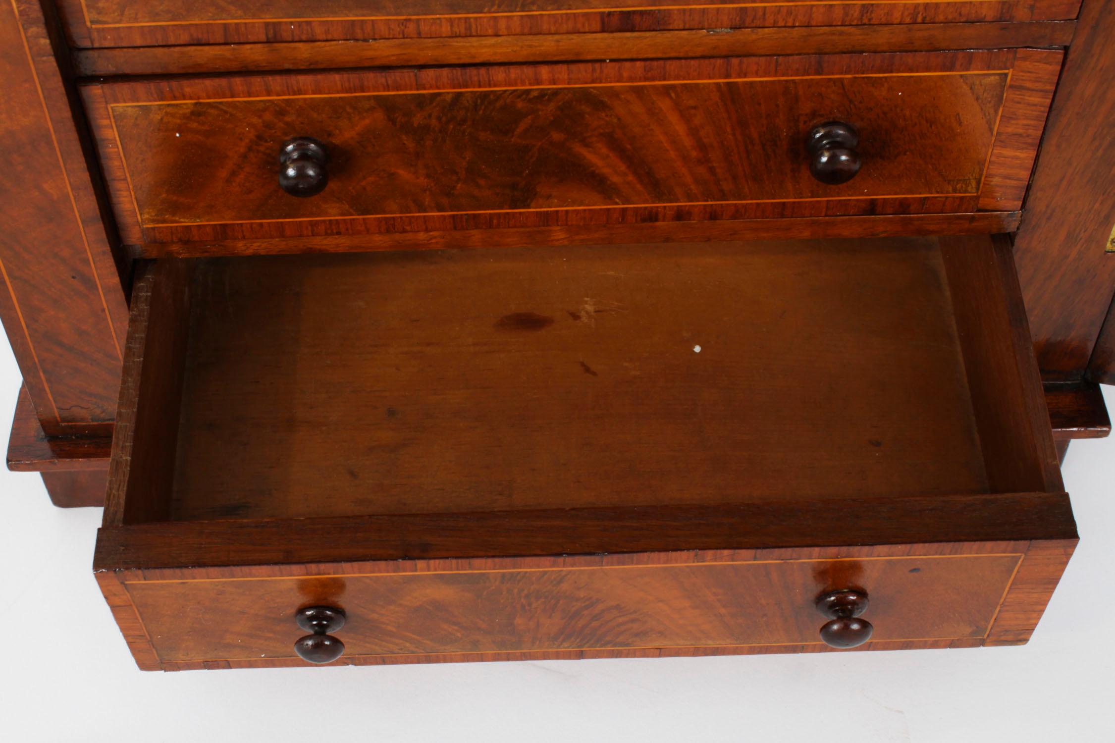 Antique Victorian Collectors Cabinet Wellington Chest 19th Century 6