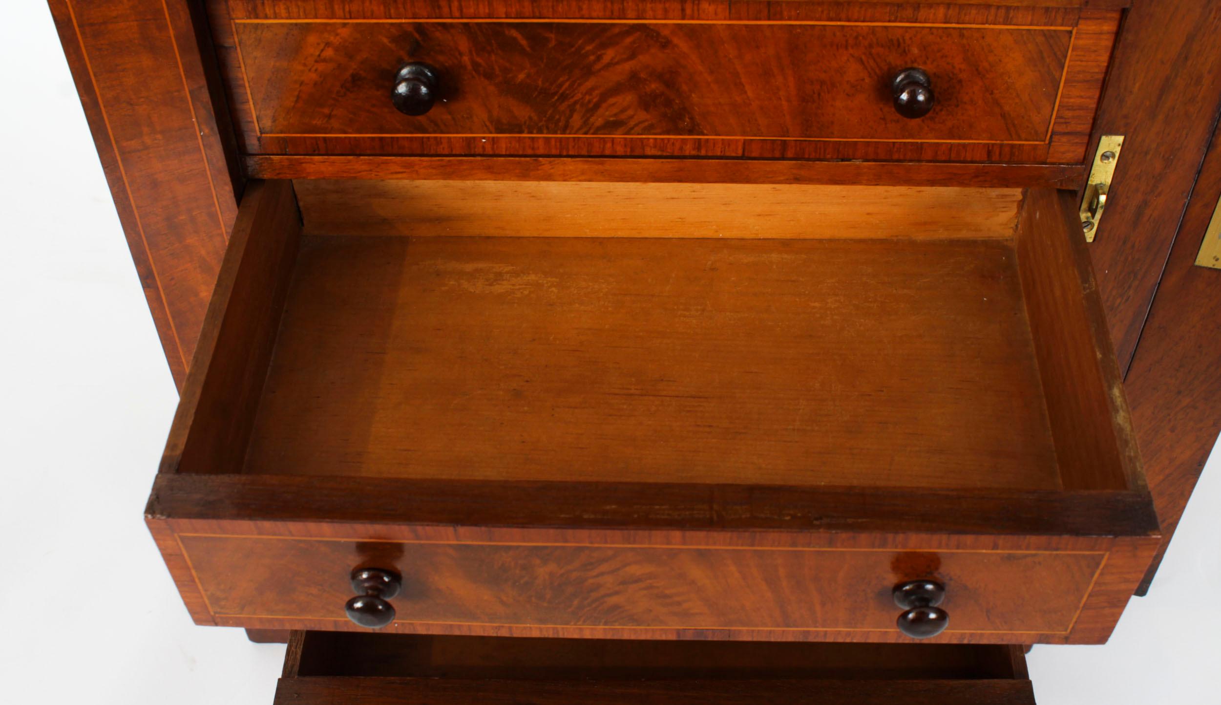 Antique Victorian Collectors Cabinet Wellington Chest 19th Century 7