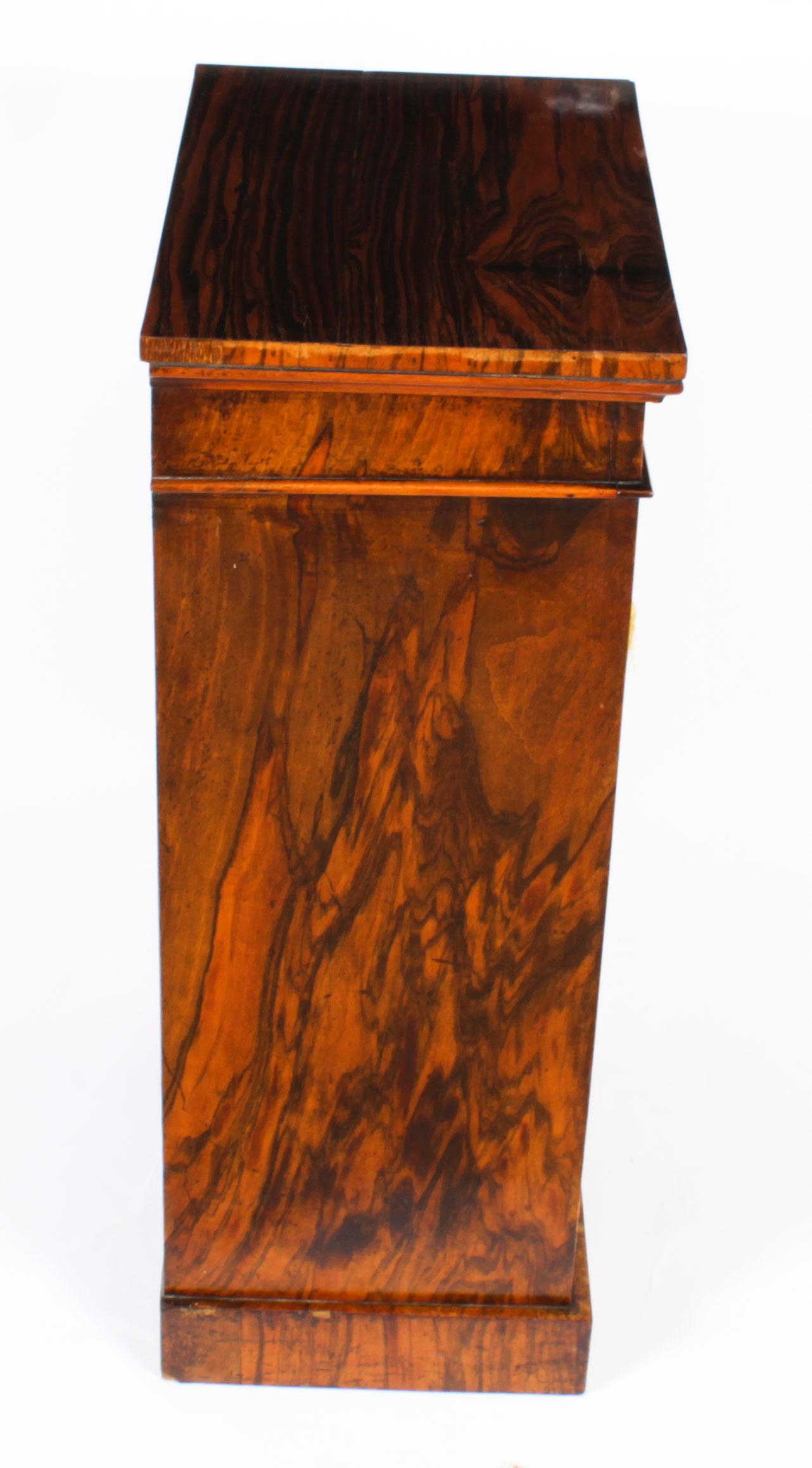 Antique Victorian Collectors Cabinet Wellington Chest 19th Century 8