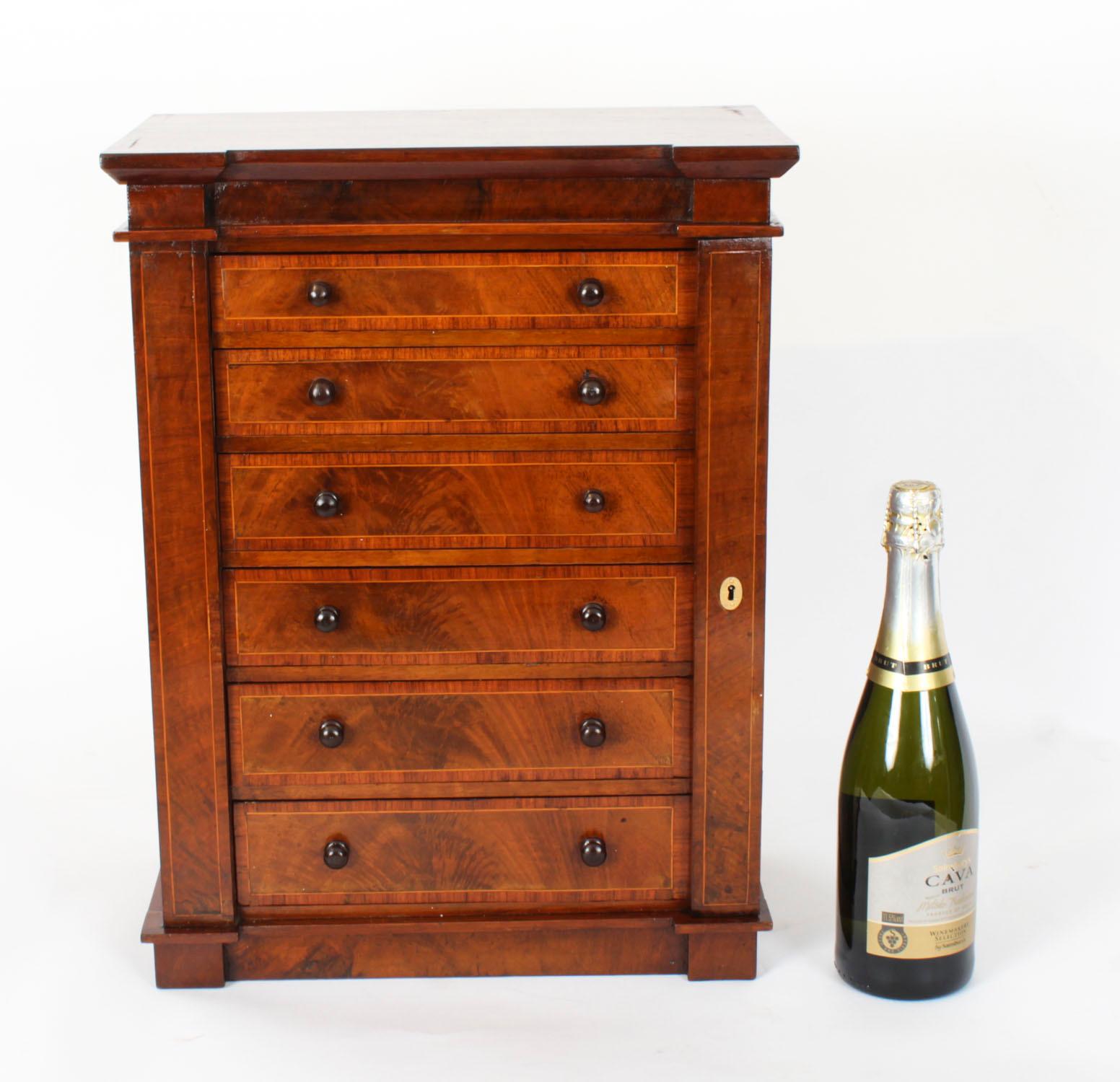 Antique Victorian Collectors Cabinet Wellington Chest 19th Century 9