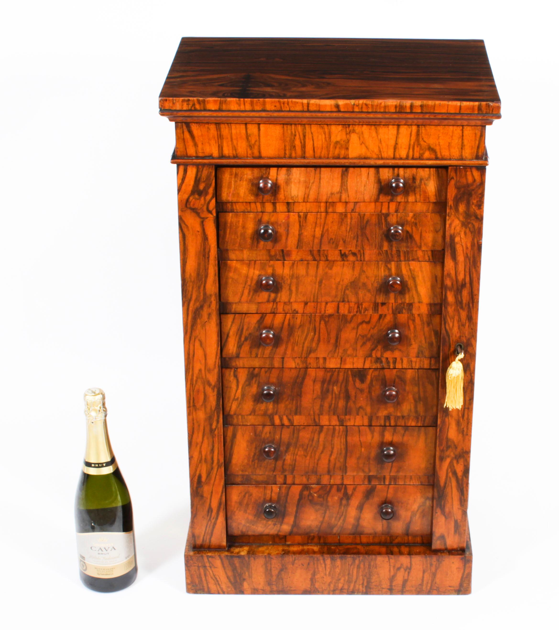 Antique Victorian Collectors Cabinet Wellington Chest 19th Century 10