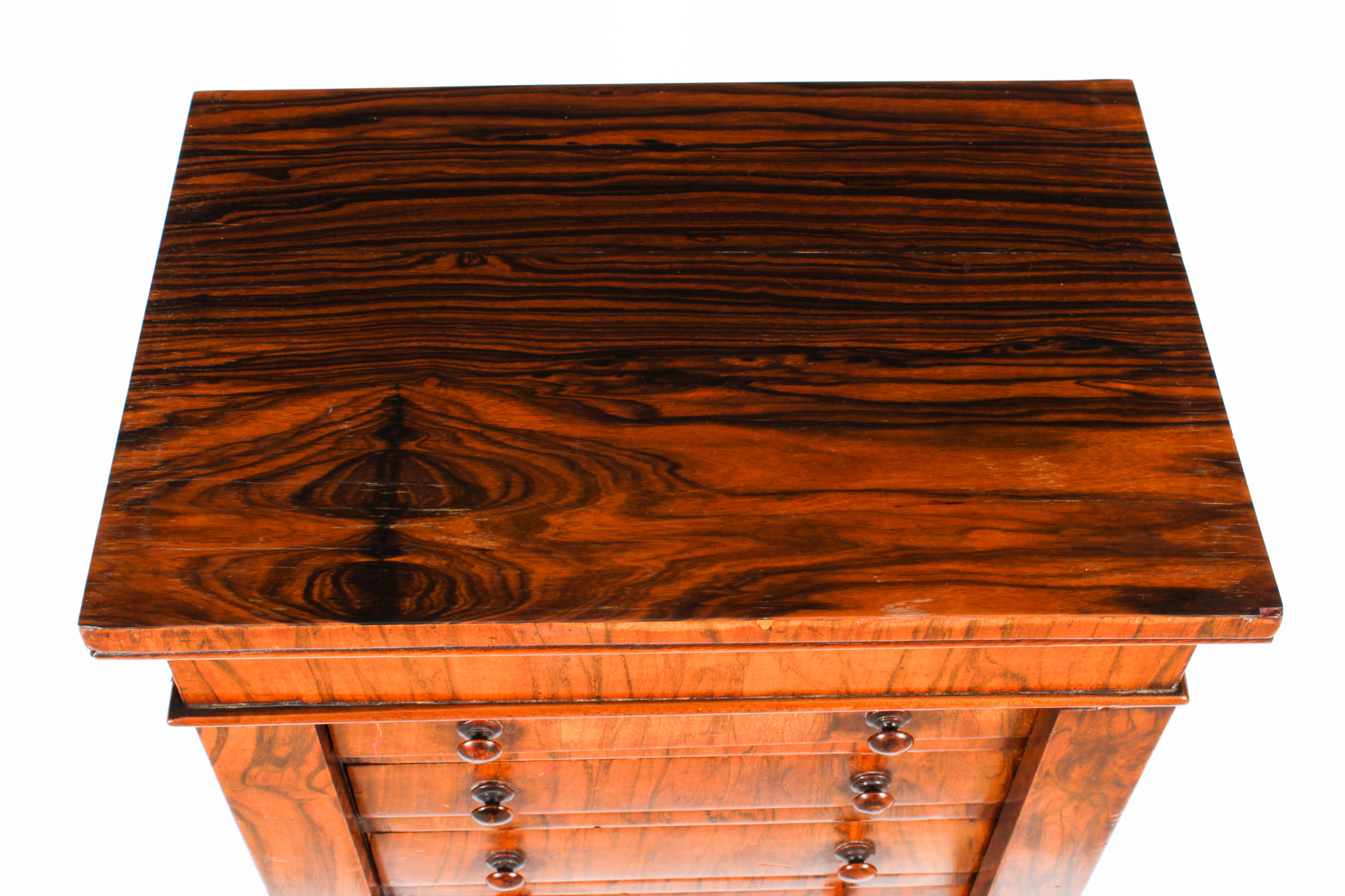 English Antique Victorian Collectors Cabinet Wellington Chest 19th Century