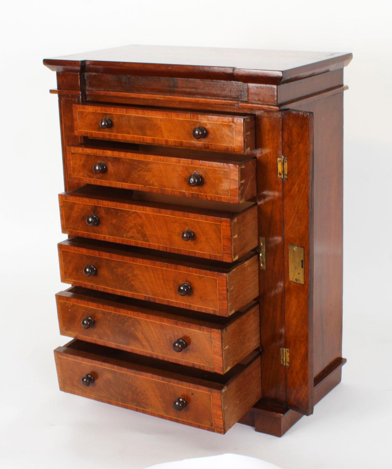 Early Victorian Antique Victorian Collectors Cabinet Wellington Chest 19th Century