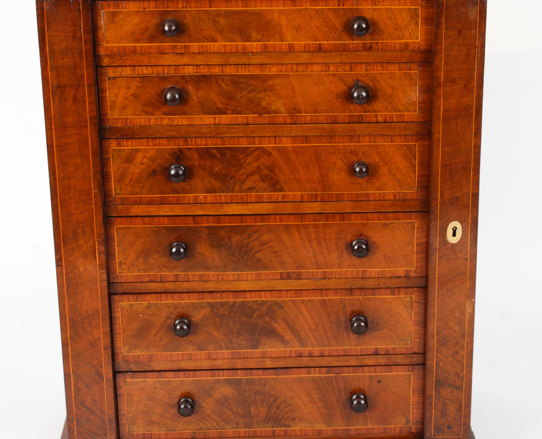 English Antique Victorian Collectors Cabinet Wellington Chest 19th Century