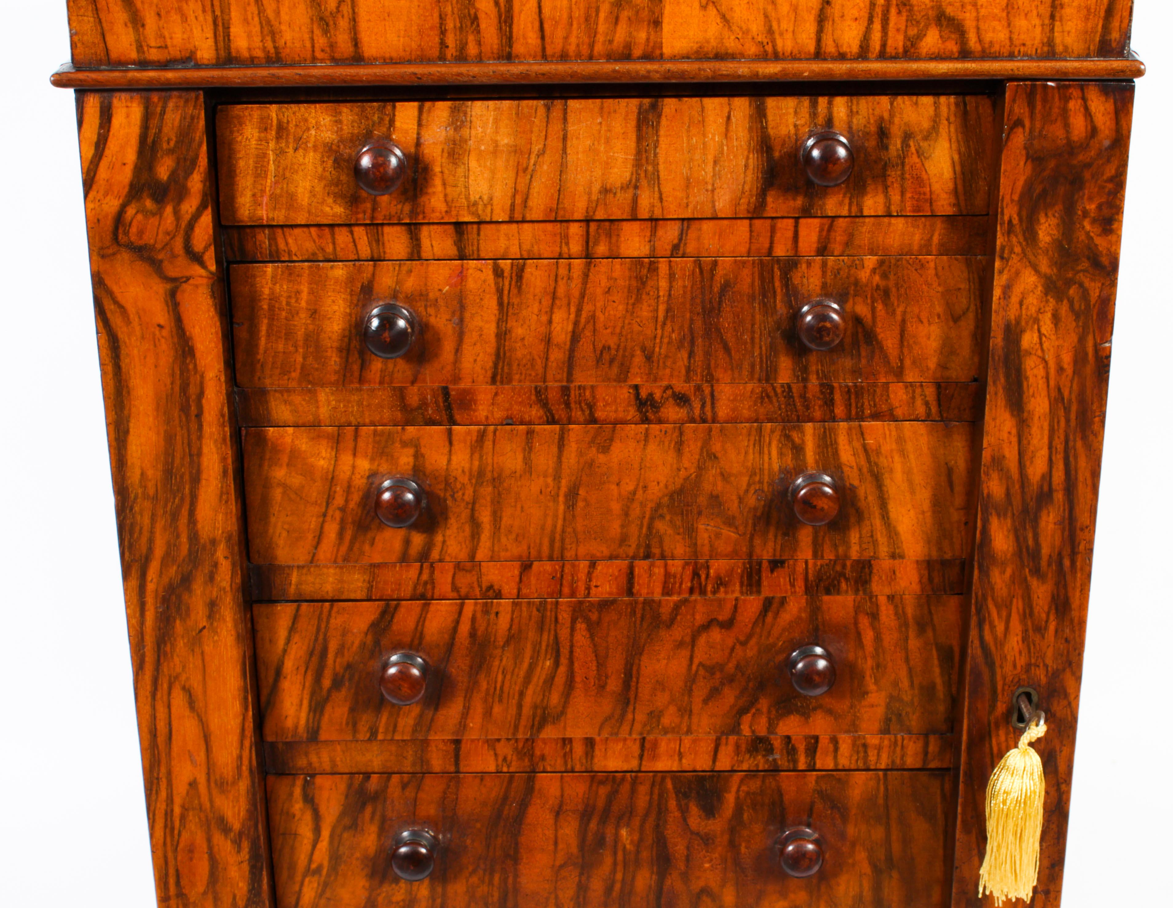 Walnut Antique Victorian Collectors Cabinet Wellington Chest 19th Century