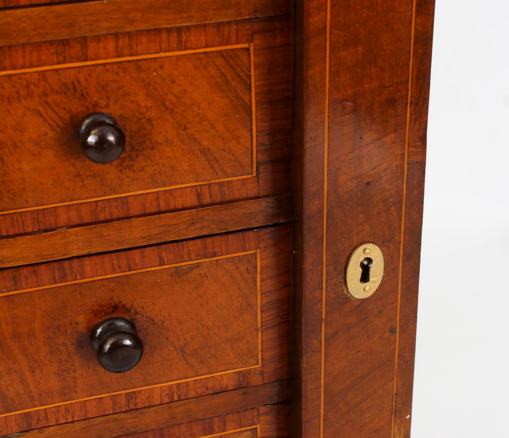 Antique Victorian Collectors Cabinet Wellington Chest 19th Century 2