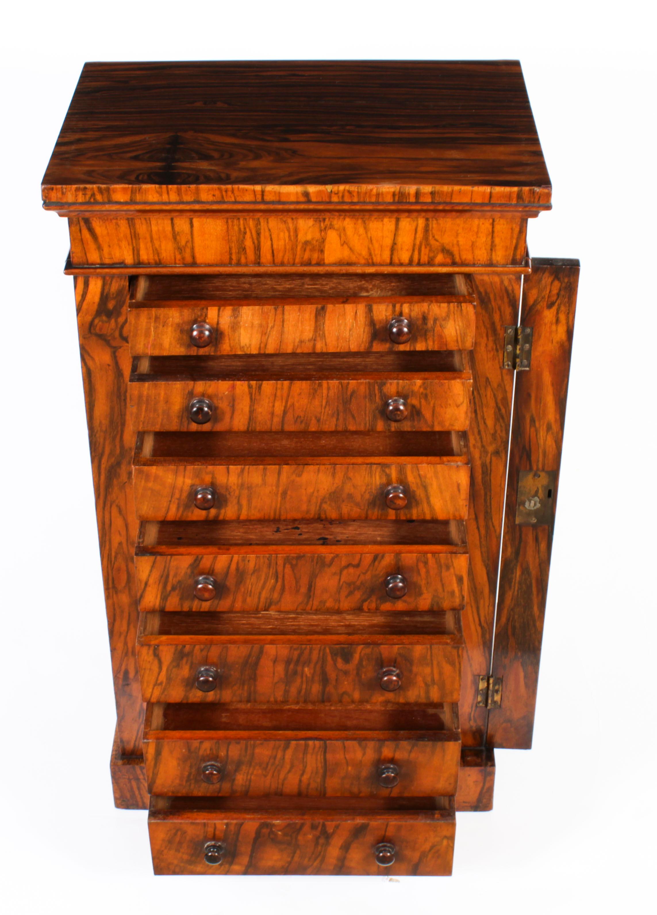 Antique Victorian Collectors Cabinet Wellington Chest 19th Century 3