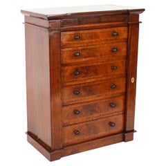 Antique Victorian Collectors Cabinet Wellington Chest 19th Century