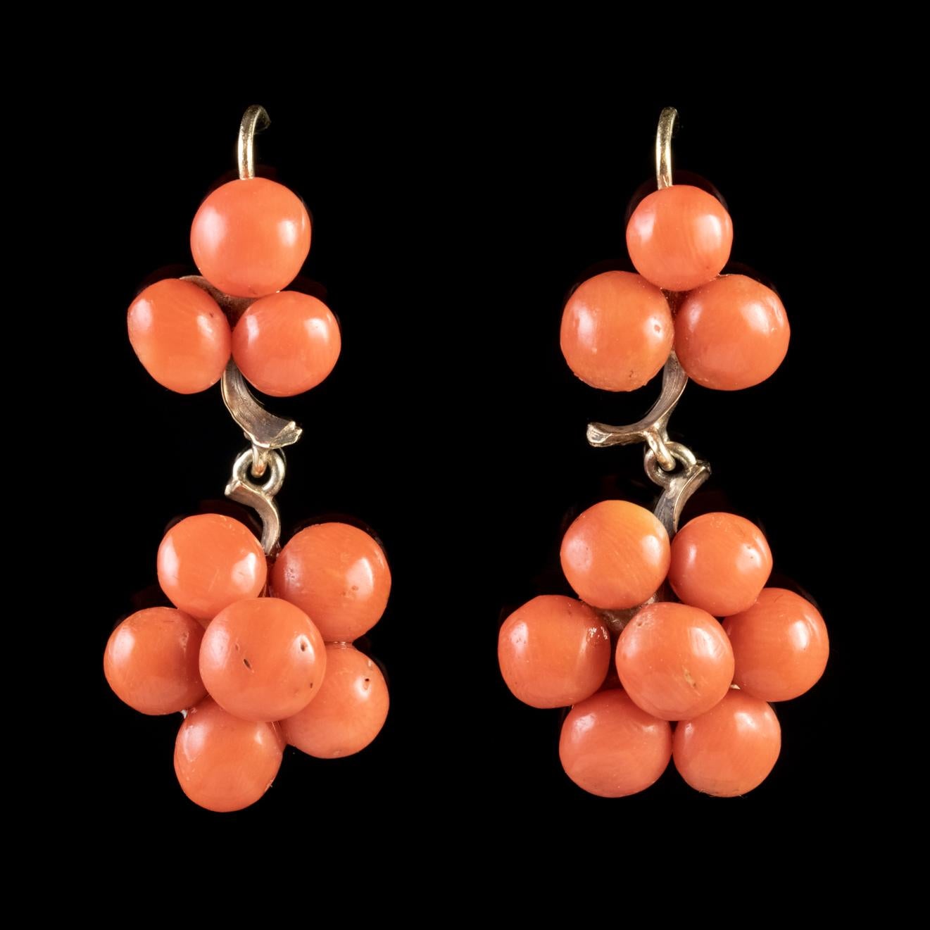 A beautiful pair of Antique Victorian double drop earrings decorated with lovely Coral stones arranged in the shape of what appears to be a three-leaf clover on top and a flower underneath. 

Similar to Pearls, Coral is made naturally in the depths