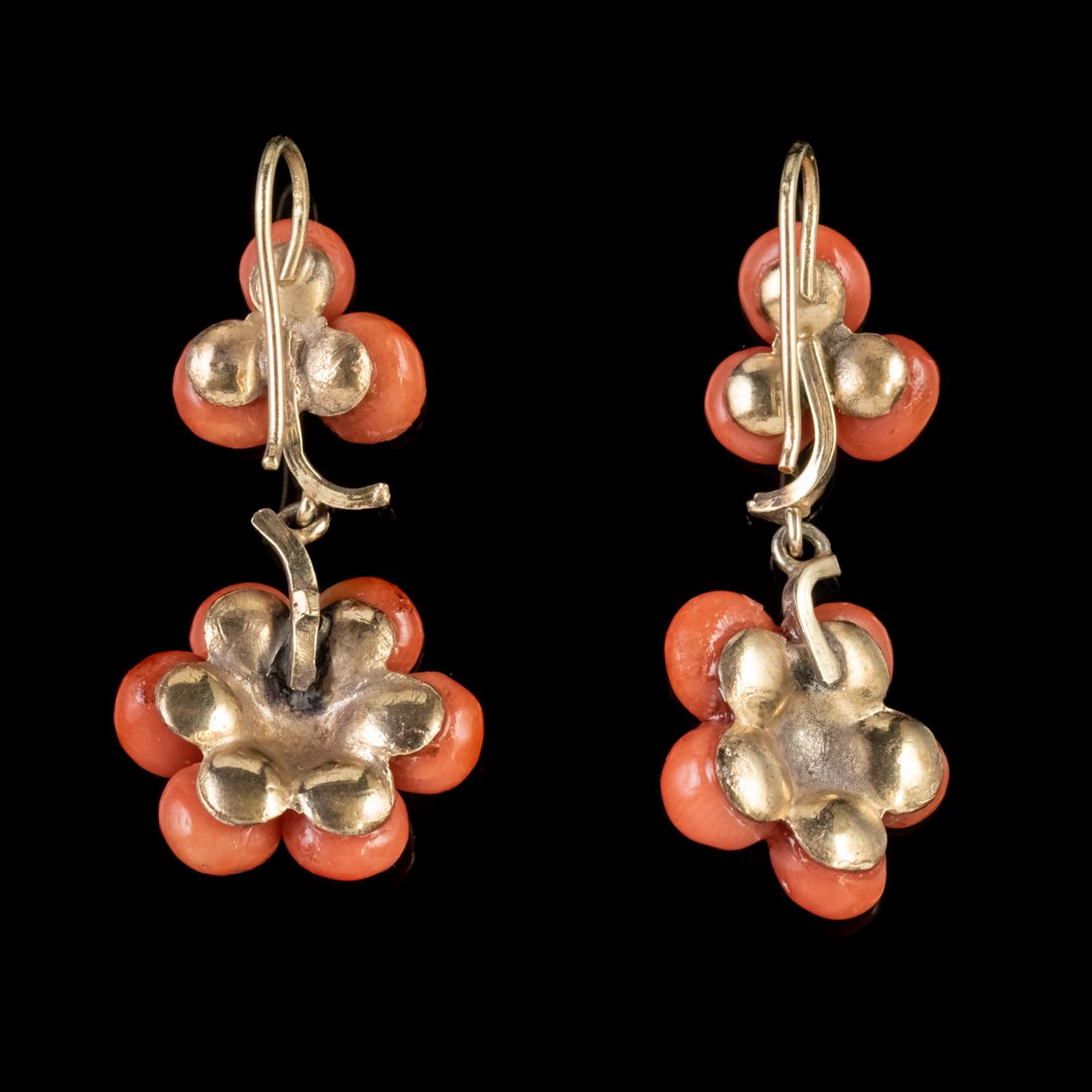 Late Victorian Antique Victorian Coral Drop Earrings 18 Carat Gold, circa 1900