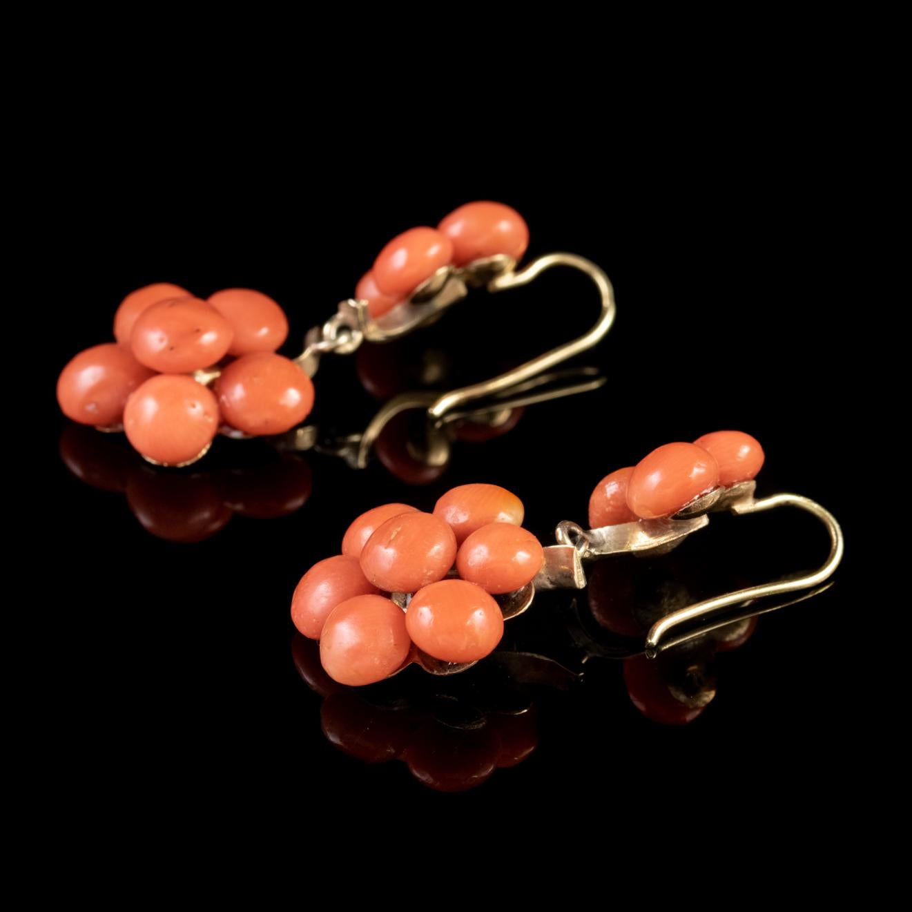 Antique Victorian Coral Drop Earrings 18 Carat Gold, circa 1900 In Good Condition In Lancaster, Lancashire