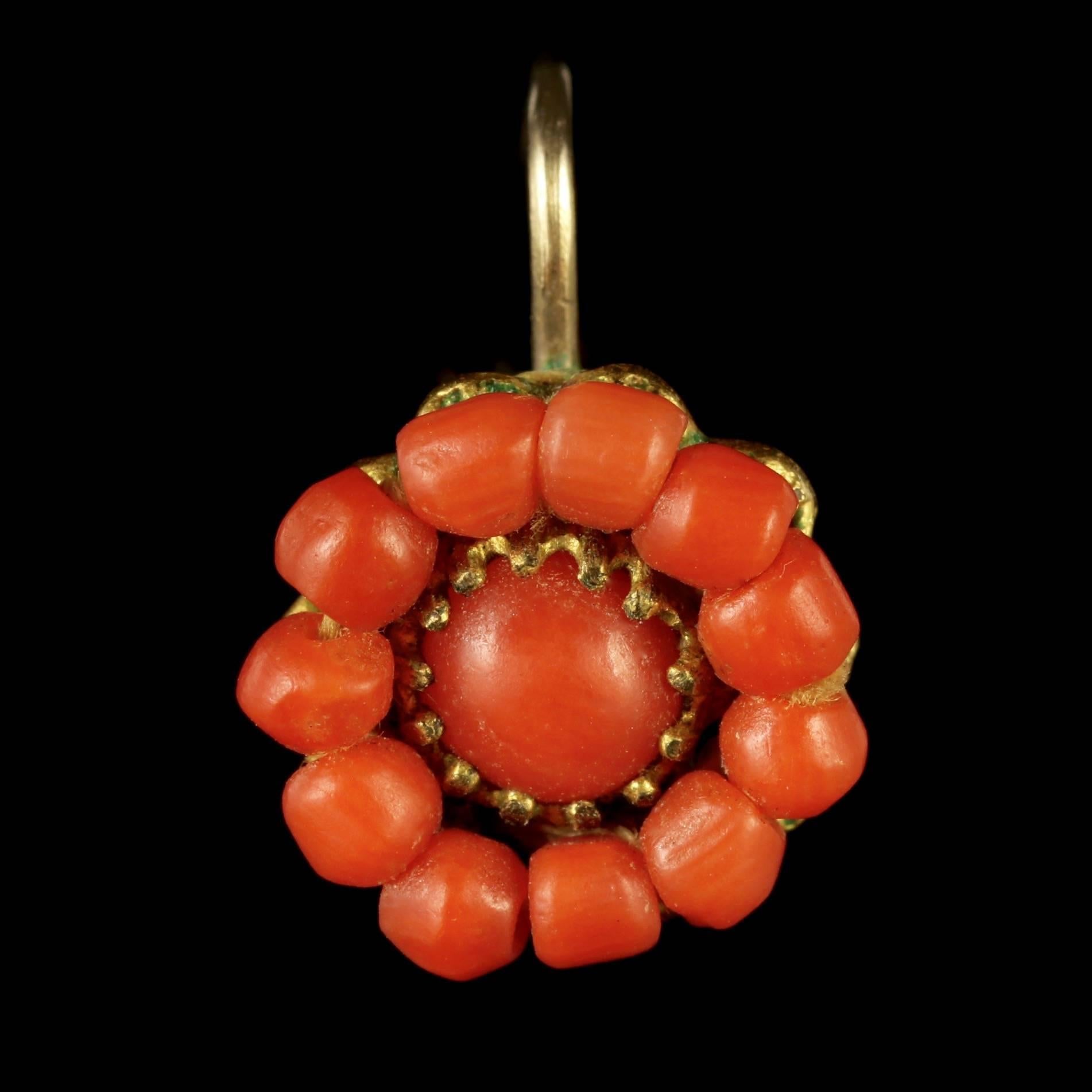 To read more please click continue reading below-

These beautiful antique Victorian gilded 18ct Gold Coral earrings are Circa 1880.

The wonderful little earrings are adorned with fabulous fiery orange Coral stones arranged in a flower shaped