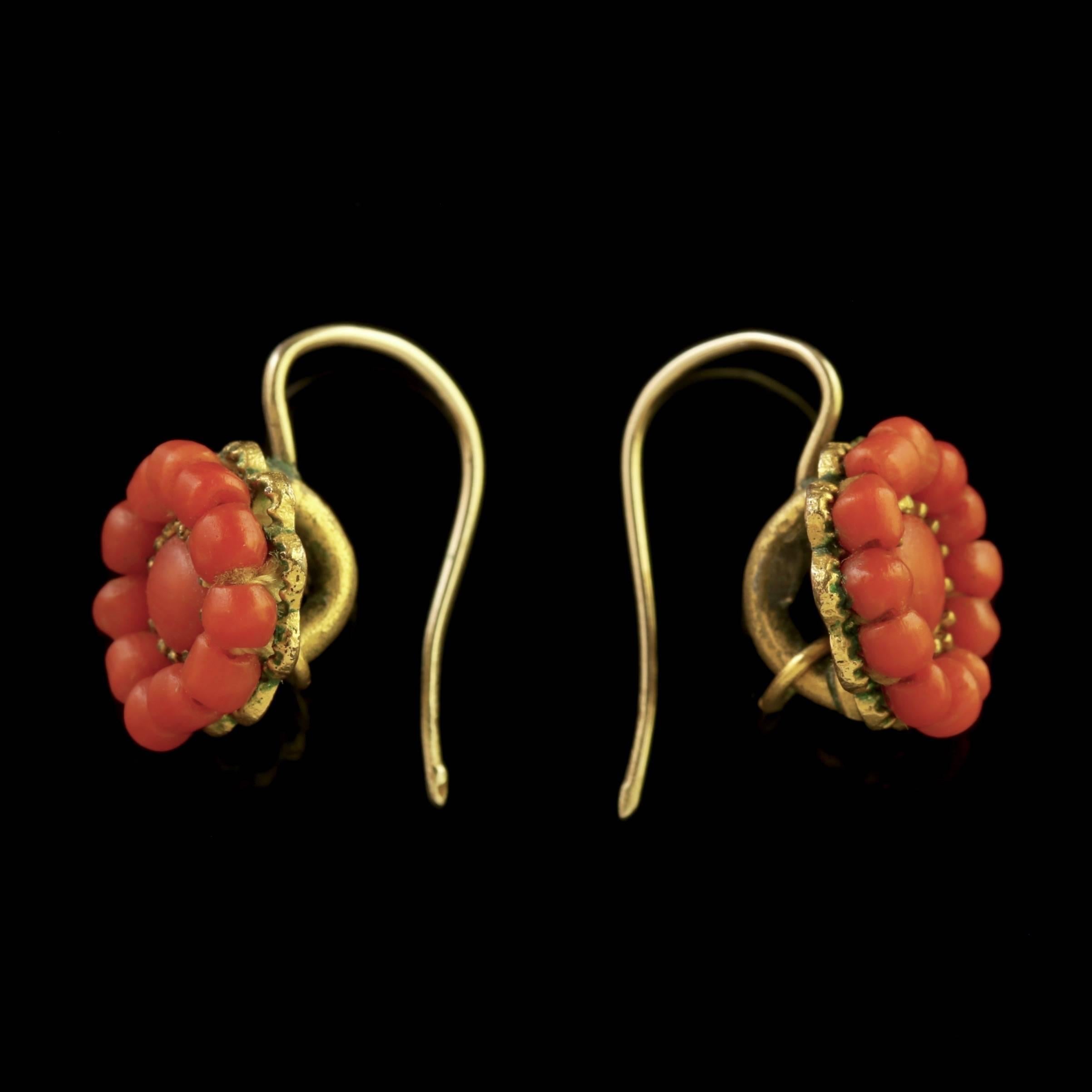 Antique Victorian Coral Earrings 18 Carat Gold, circa 1880 In Excellent Condition In Lancaster, Lancashire