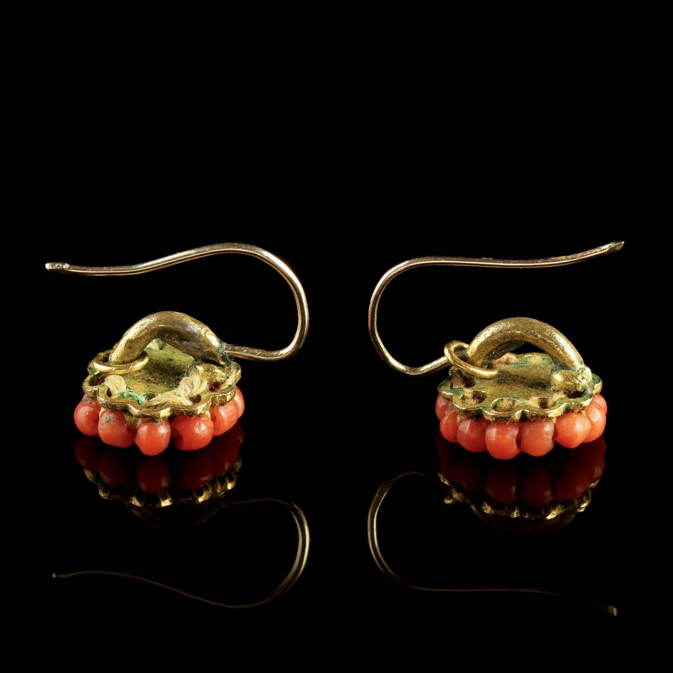 Antique Victorian Coral Earrings 18 Carat Gold, circa 1880 2