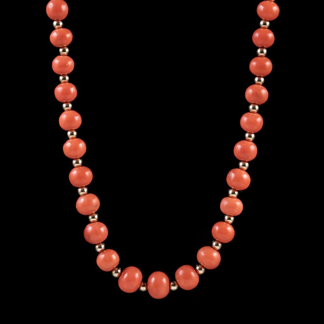 A beautiful antique Victorian graduated Coral necklace made up of polished Coral beads with smaller Golden balls in-between fashioned in 18ct Yellow Gold. 

Similar to Pearls, Coral is made naturally in the depths of the ocean and boasts fiery