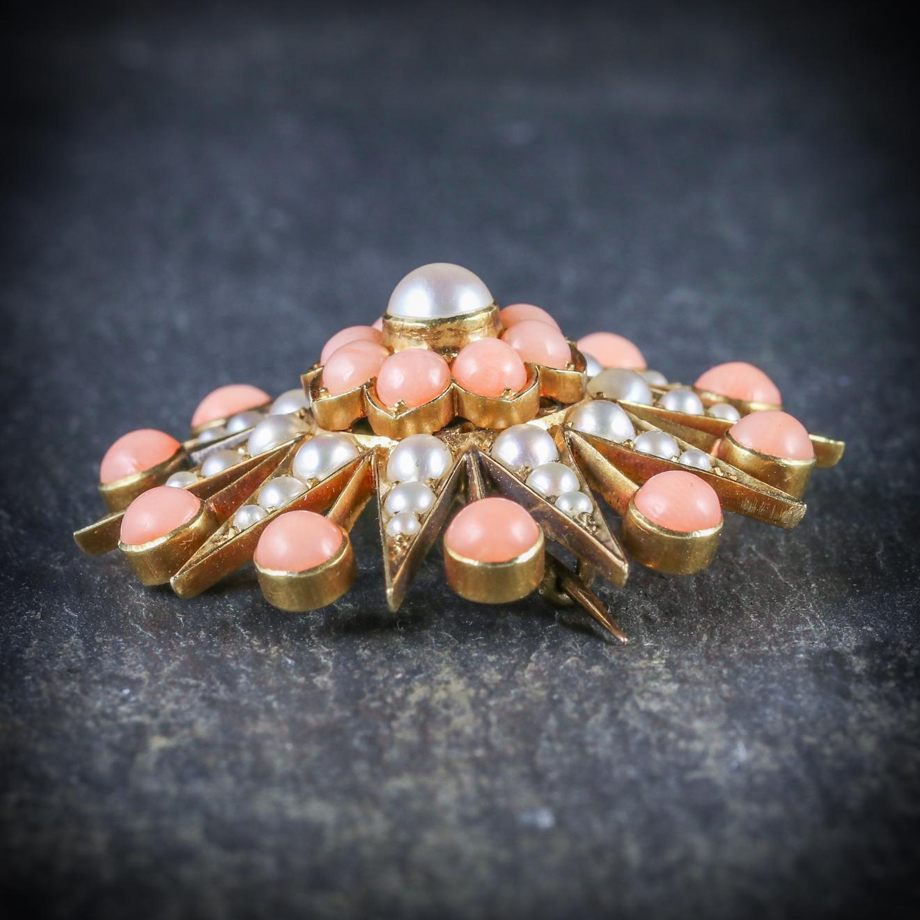 Women's Antique Victorian Coral Pearl Star 18 Carat Gold circa 1900 Brooch For Sale