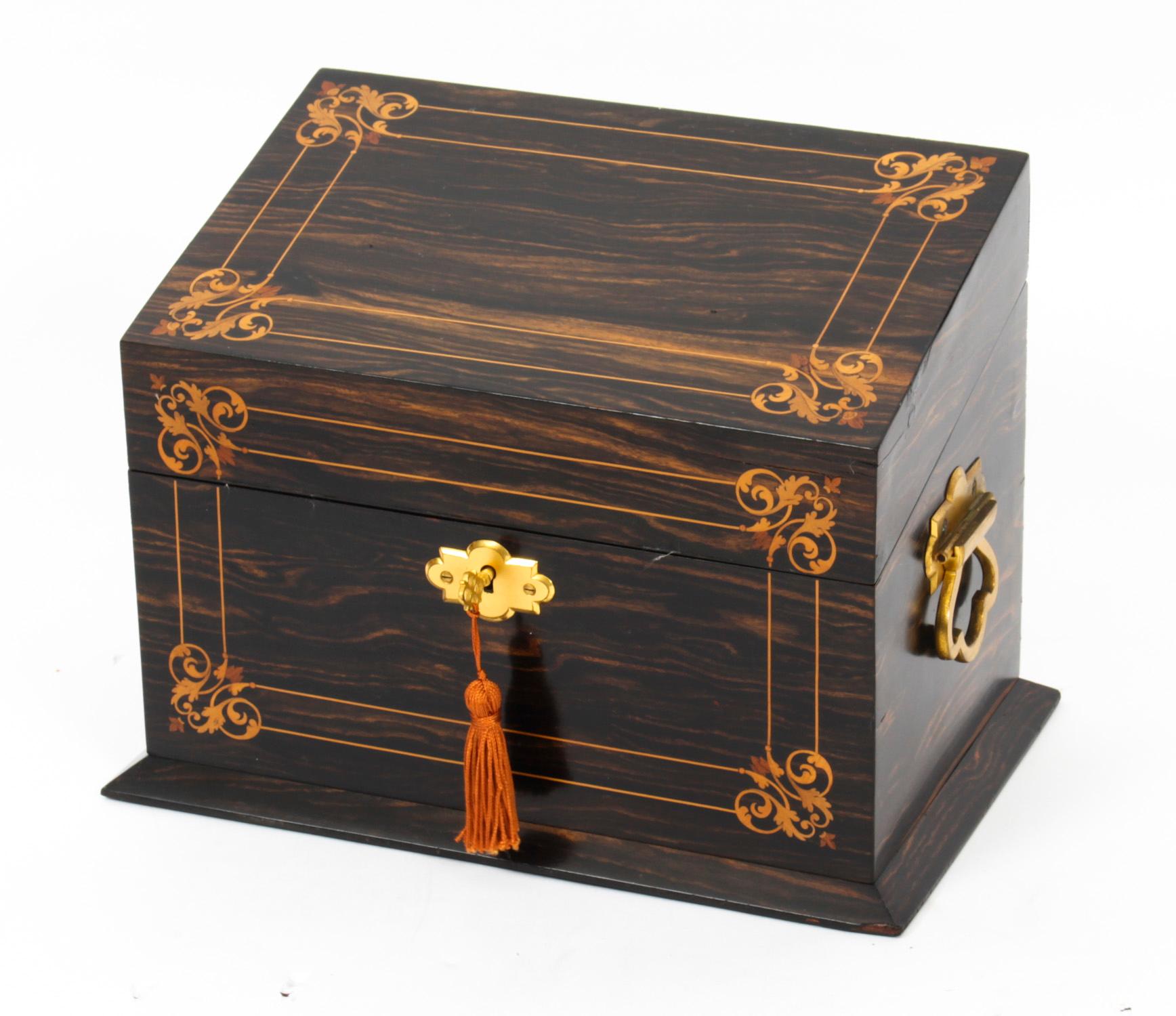 Antique Victorian Coromandel Stationery Casket, 19th Century 5