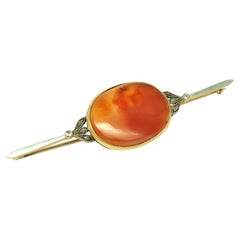 Antique Victorian Diamond Carnelian 15ct Yellow Gold Brooch