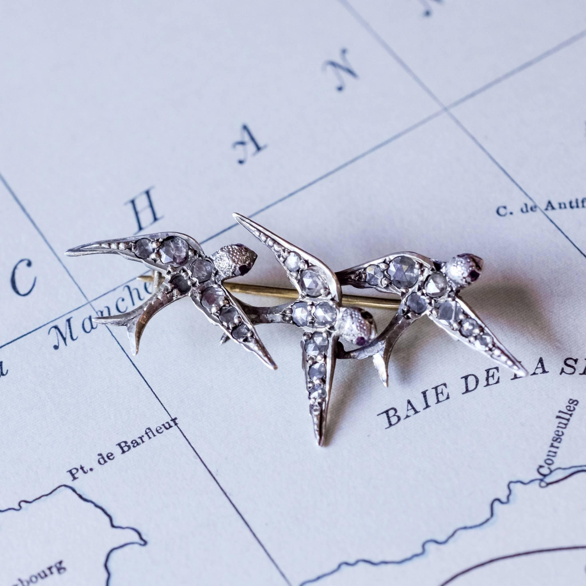 silver swallow brooch