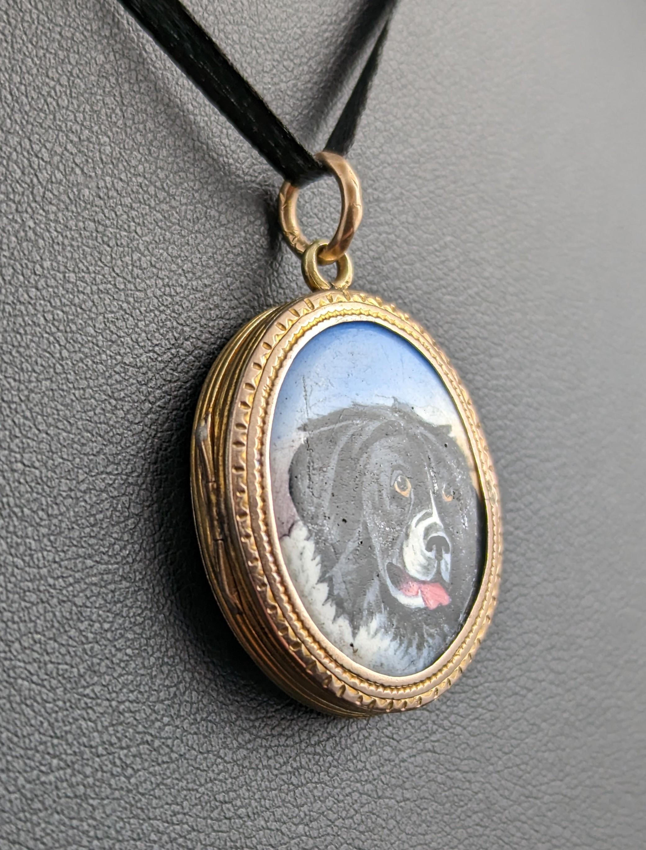 Antique Victorian Dog Portrait Locket, 9k Gold Front and Back 5