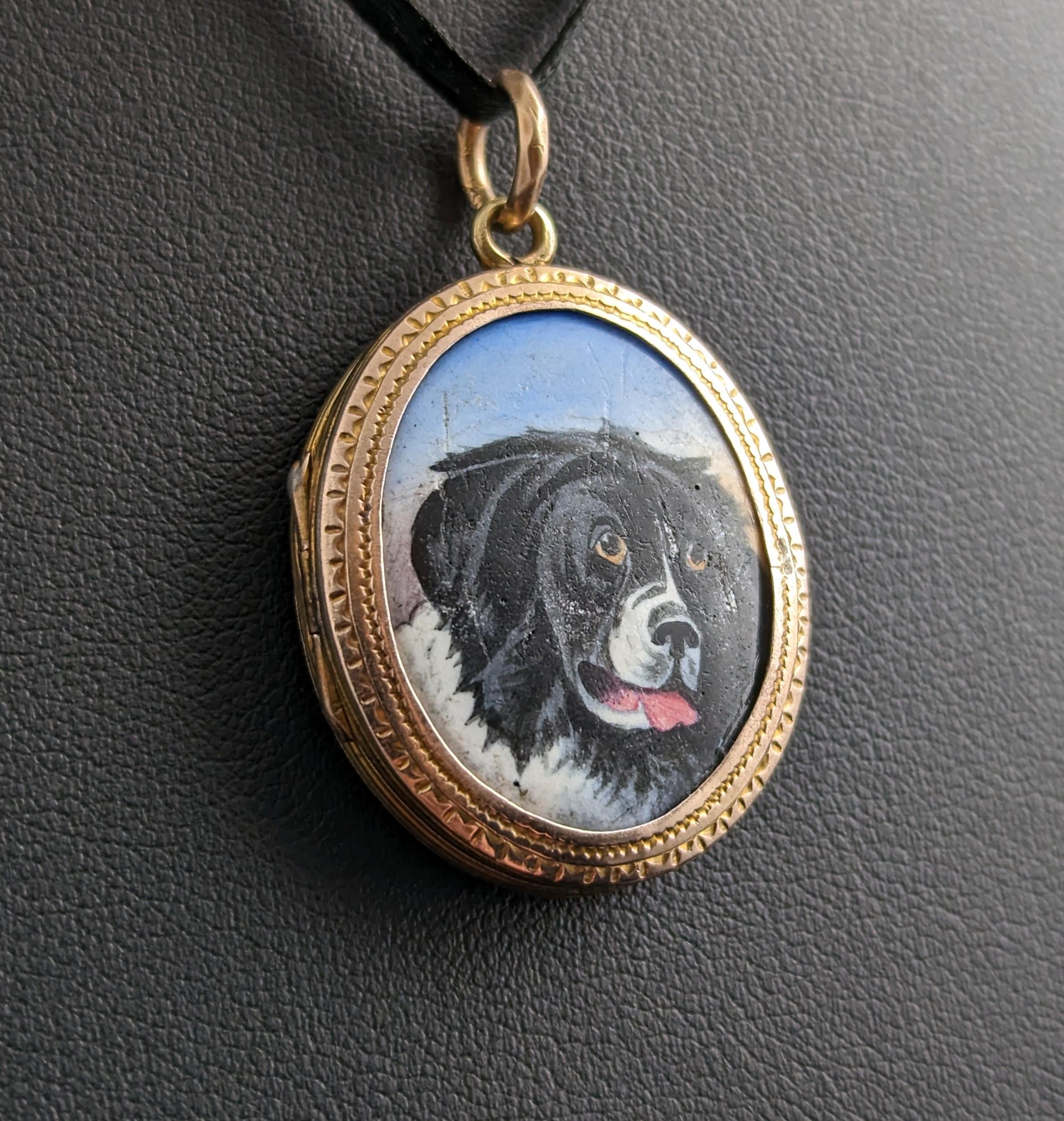 Antique Victorian Dog Portrait Locket, 9k Gold Front and Back 6