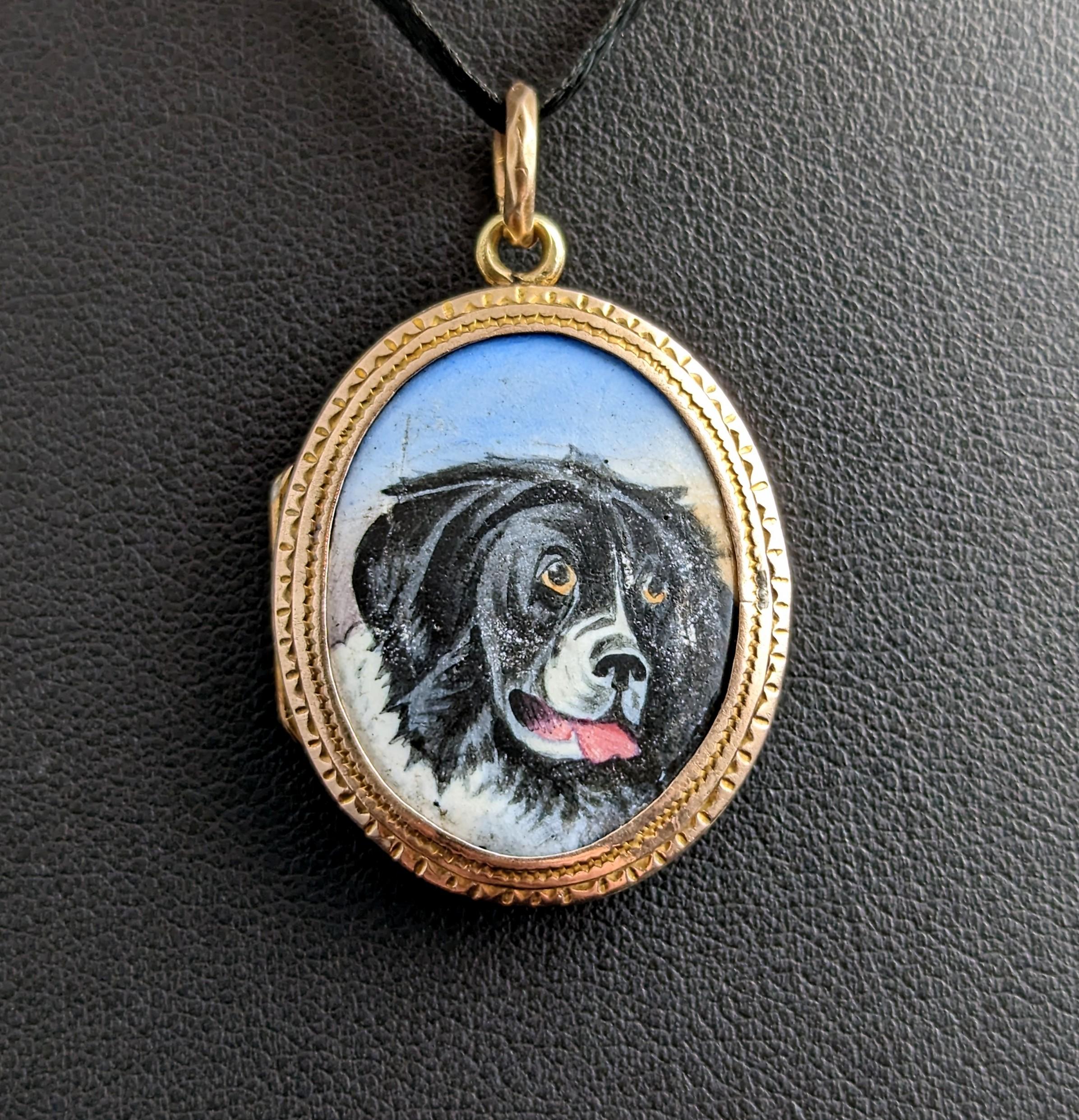Antique Victorian Dog Portrait Locket, 9k Gold Front and Back 7