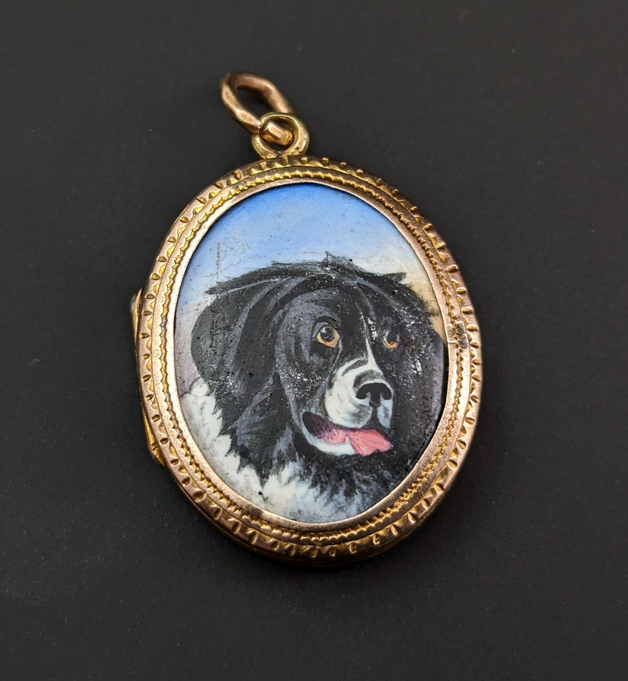 This rare antique Victorian dog portrait locket is really quite special.

Pets were prized in the Victorian era as much as they are today, just as we see mourning or commemorative pieces for loved ones we too see them for pets, albeit not so