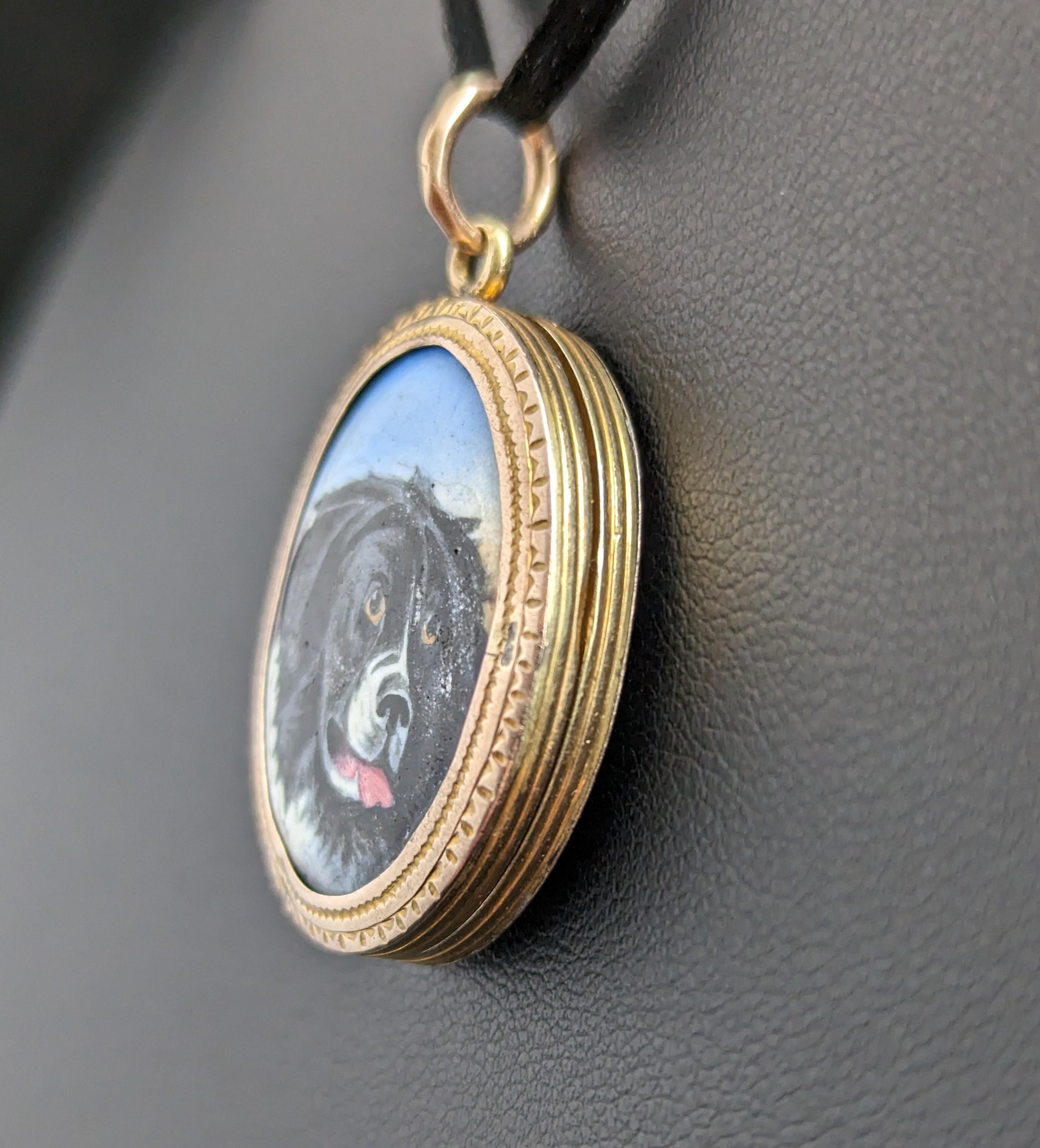 Antique Victorian Dog Portrait Locket, 9k Gold Front and Back 3