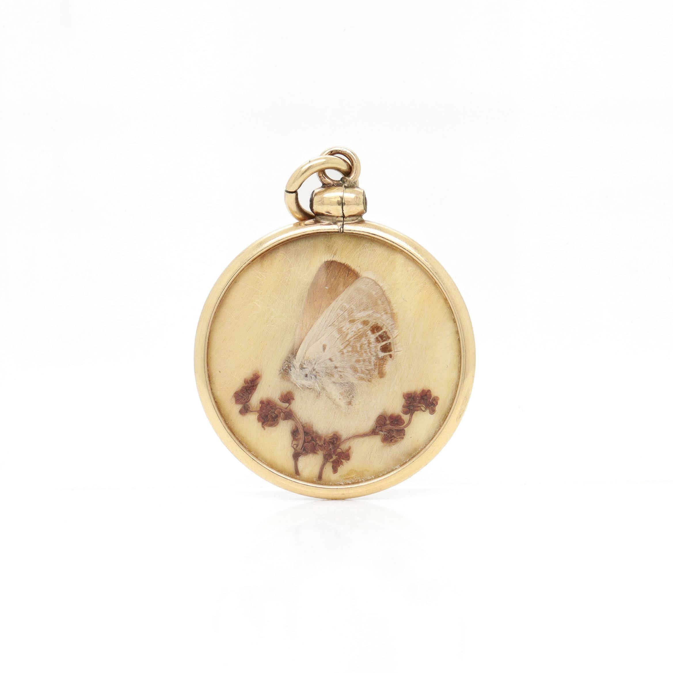 Antique Victorian Double Side 14K Gold & Butterfly Wing Charm / Pendant Bon état - En vente à Philadelphia, PA