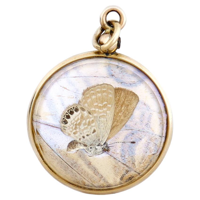 Antiker viktorianischer doppelseitiger Anhänger in Form eines Morpho-Schmetterlingsflügels aus 14-karätigem Gold