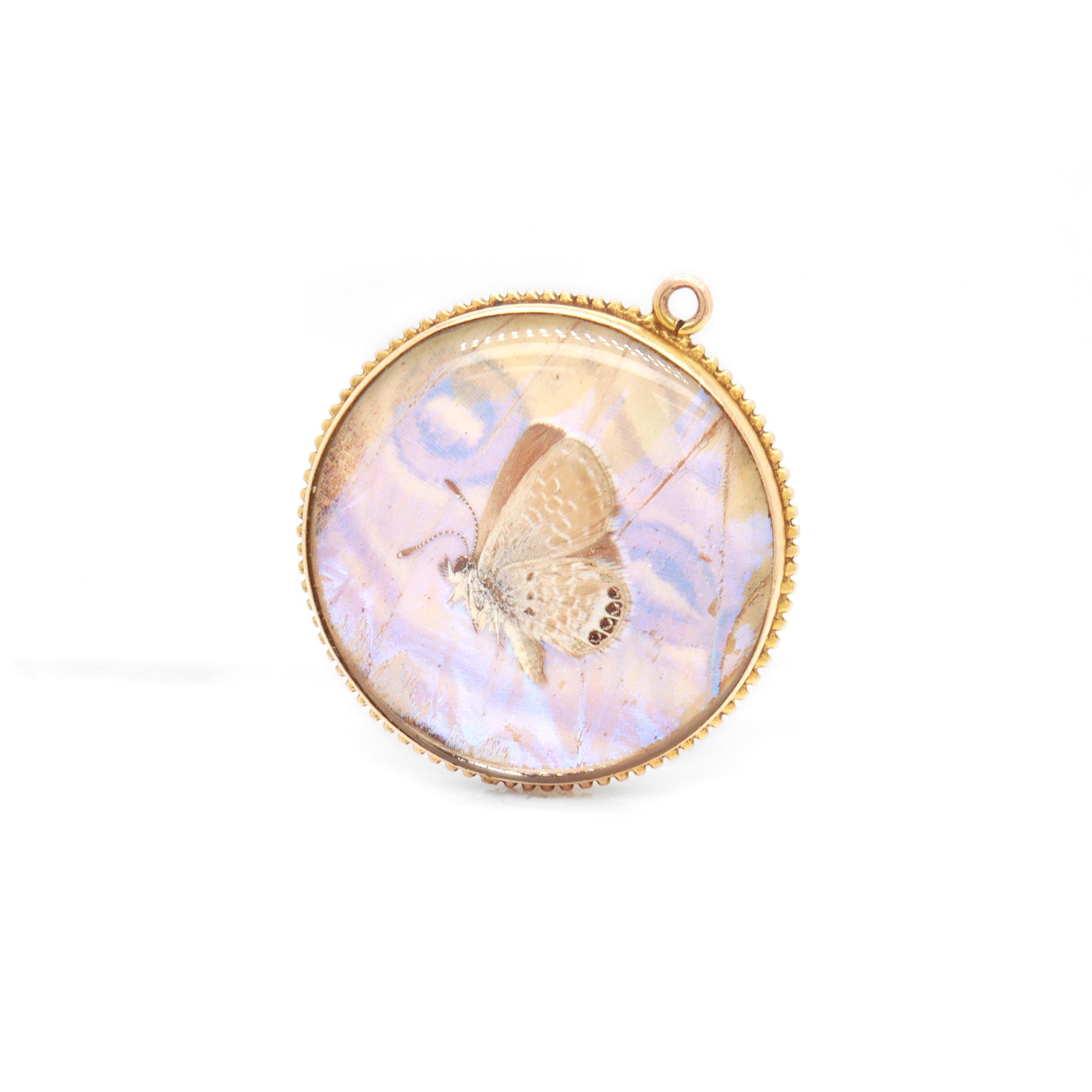 Edwardian Antique Victorian Double-Sided 14K Gold & Morpho Butterfly Wing Charm / Pendant For Sale