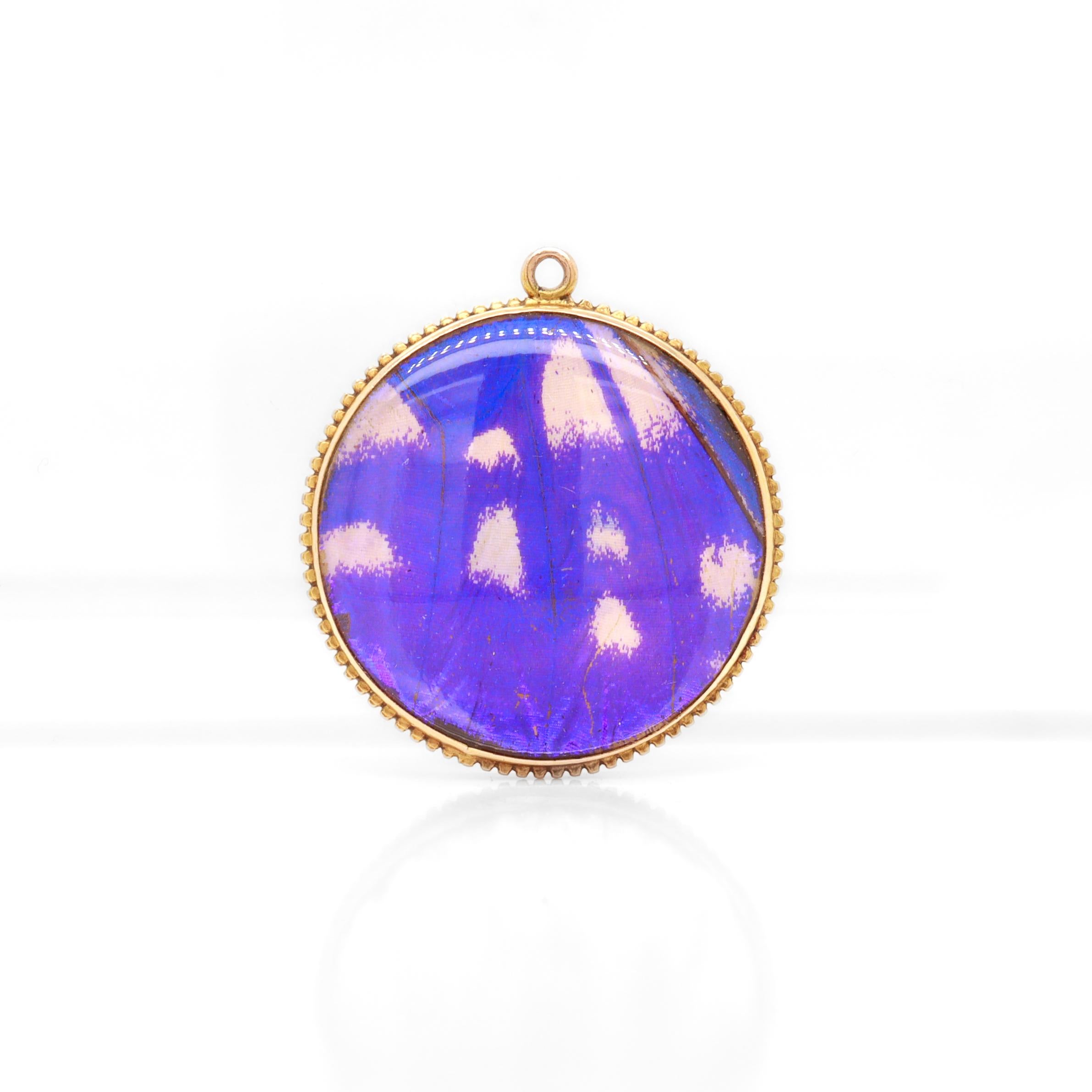 Antique Victorian Double-Sided 14K Gold & Morpho Butterfly Wing Charm / Pendant In Good Condition For Sale In Philadelphia, PA