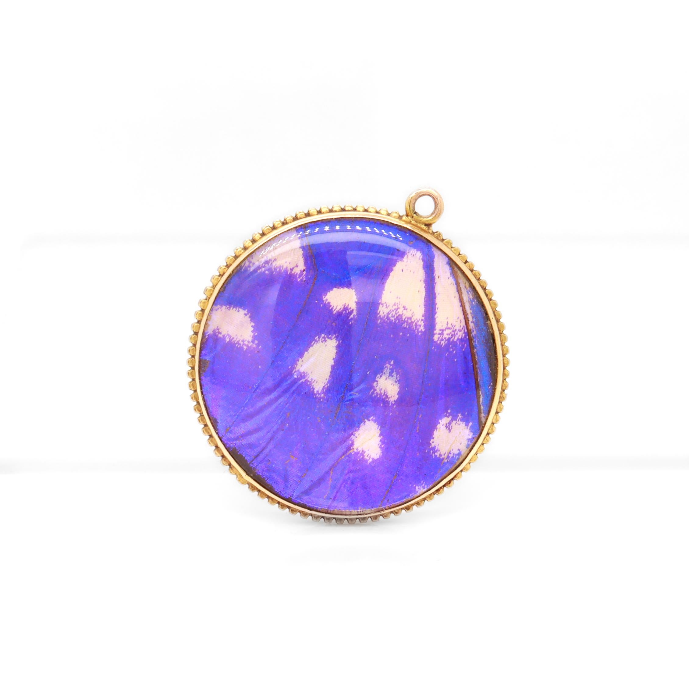 Women's Antique Victorian Double-Sided 14K Gold & Morpho Butterfly Wing Charm / Pendant For Sale