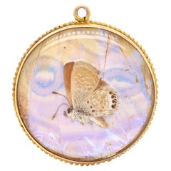 Antique Victorian Double-Sided 14K Gold & Morpho Butterfly Wing Charm / Pendant