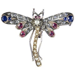 Antique Victorian Diamond Sapphire Ruby Pearl circa 1900 Dragonfly Brooch
