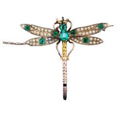 Antiguo broche victoriano de libélula Granate y perla semilla Oro de 9 quilates - c.1900