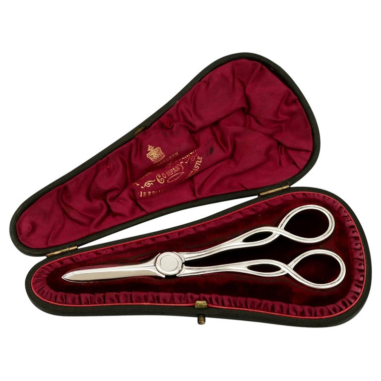 Antique Victorian English Sterling Silver Grape Scissors For Sale