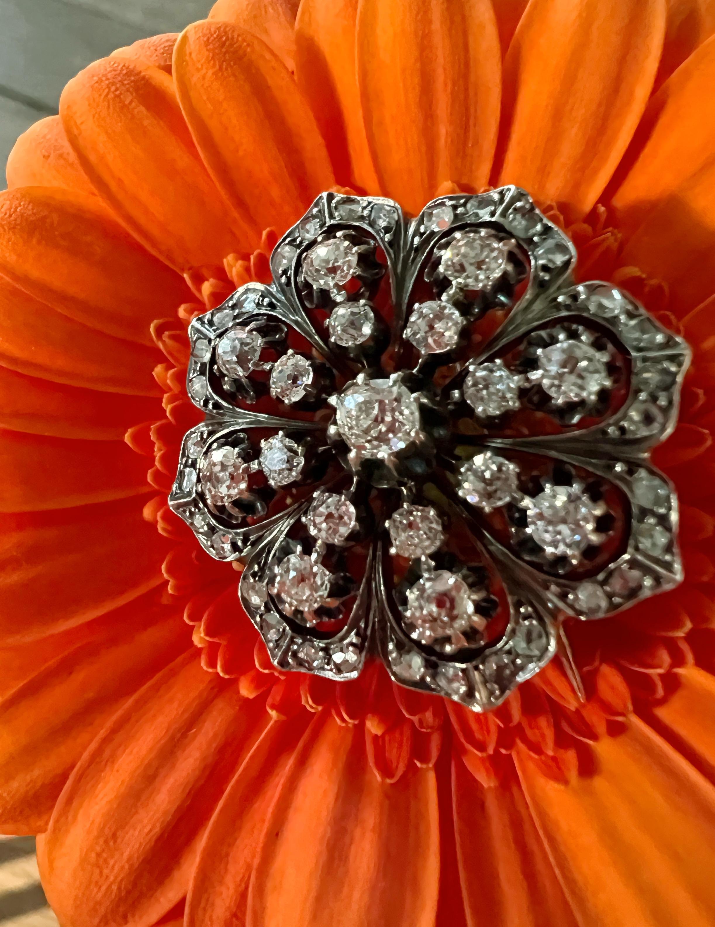 Timeless and chic in equal measures, this ultra-sparkling diamond brooch not only has a very flattering floral shape, it also gives you more sparkle for your money. Its feminine curves also make it suitable for a variety of styles.

The brooch