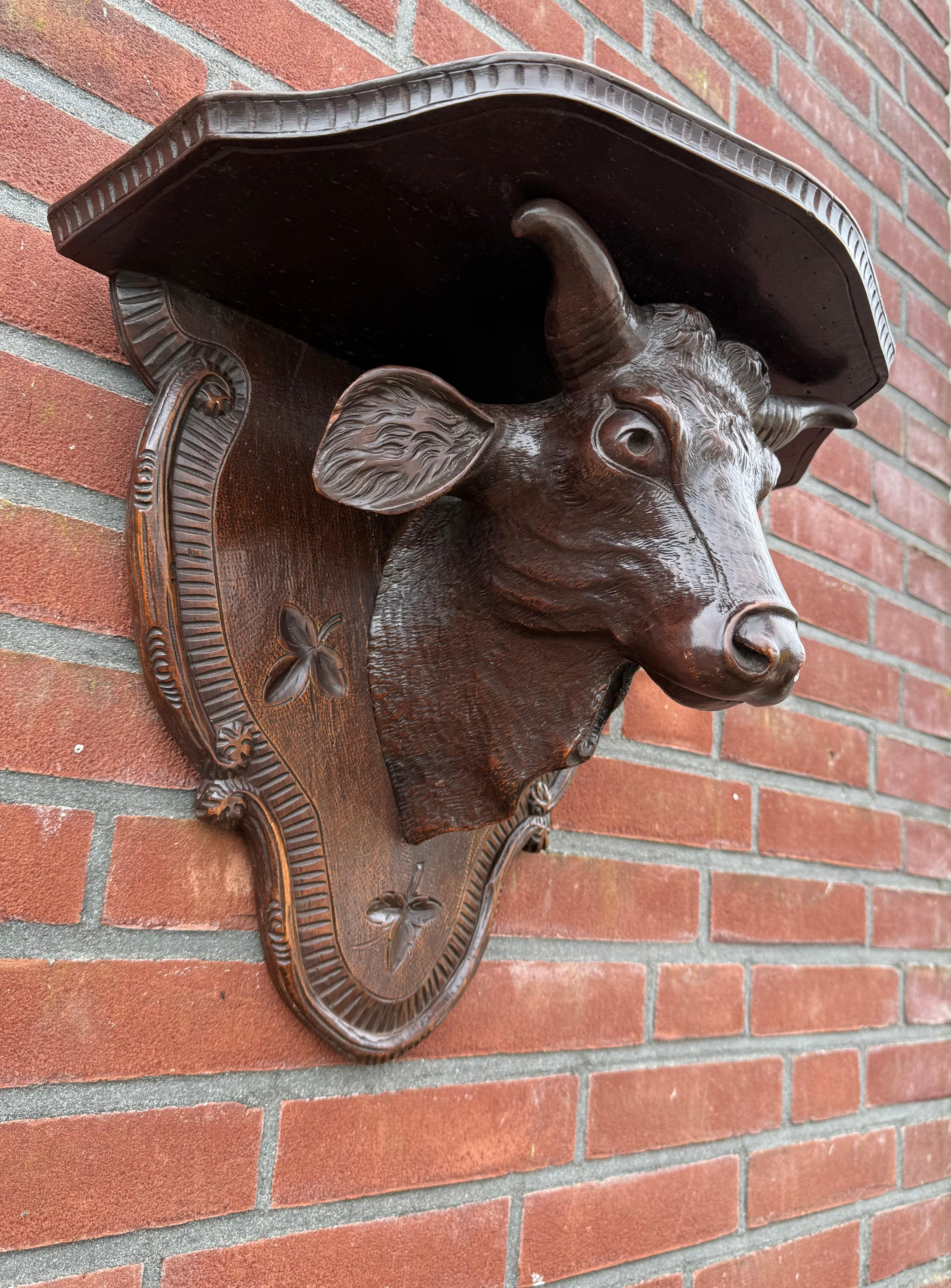 Antique Victorian era Hand Carved Black Forest Bull Sculpture Wall Bracket For Sale 3