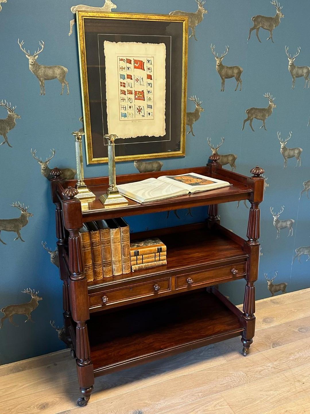 Antique Victorian Etagere 5