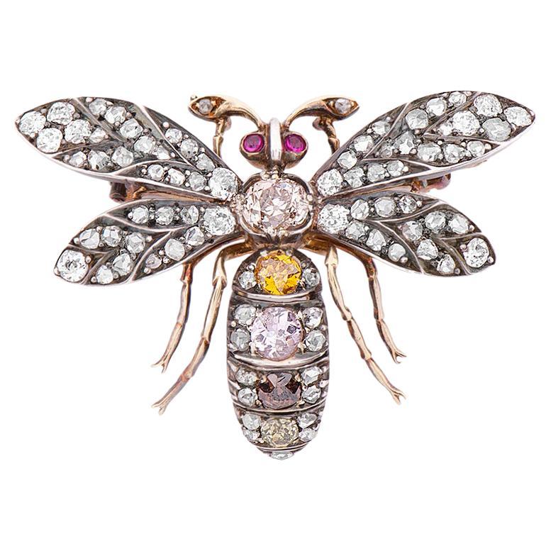 Antique Victorian Fancy Colour Diamond and Ruby Bee Brooch For Sale