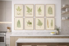 Antique Victorian Fern Botanical Prints Set, Polypodium Studies Wall Art 1856